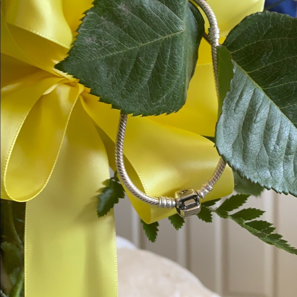 Pandora bracelet